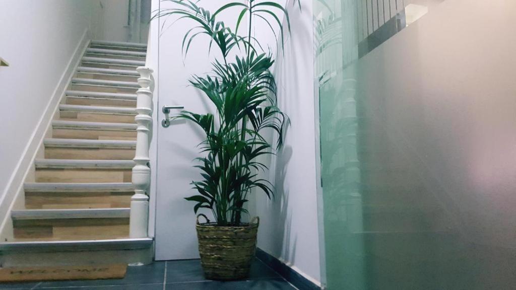 Cozy Rooms With Share The Bathroom And Kitchen Bruksela Zewnętrze zdjęcie